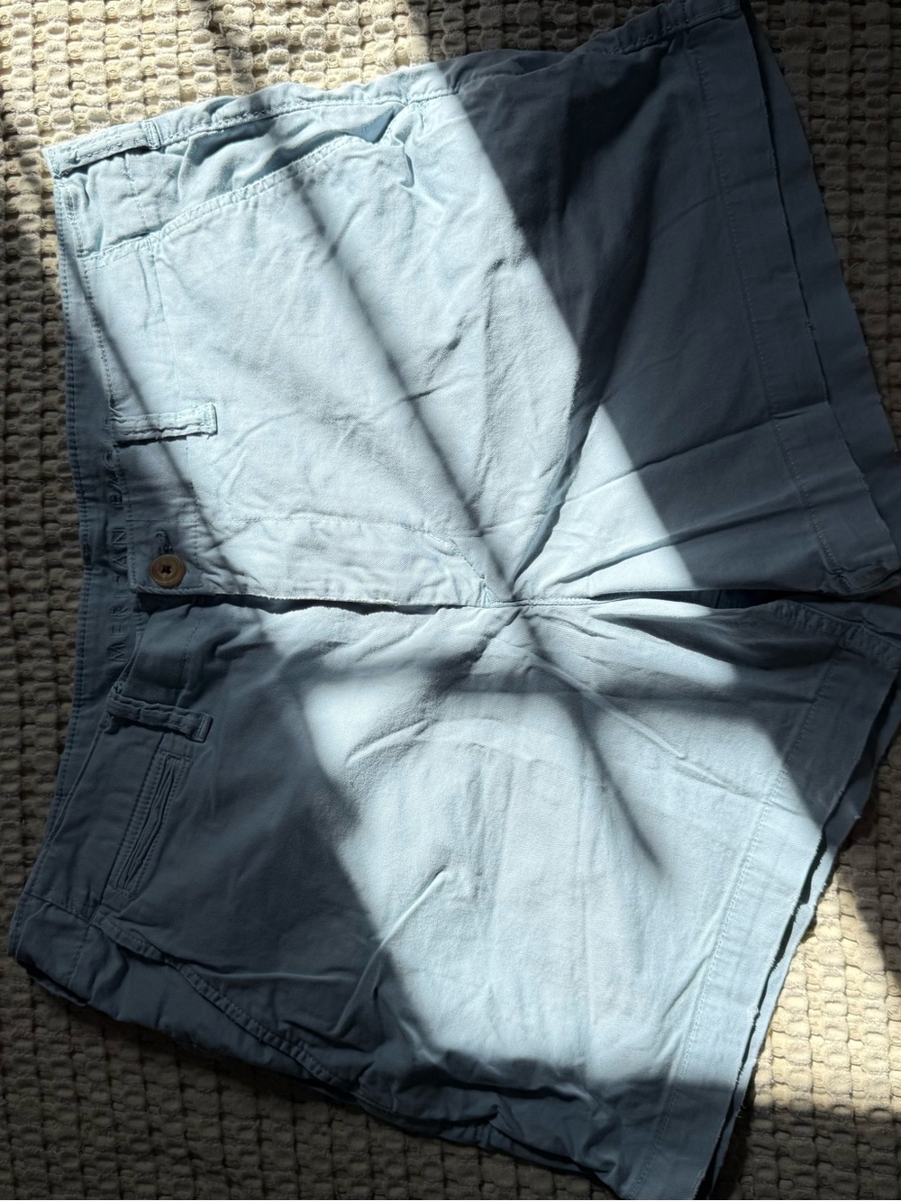 American Eagle Outfitters Light Blue Cotton Flat Front Shorts